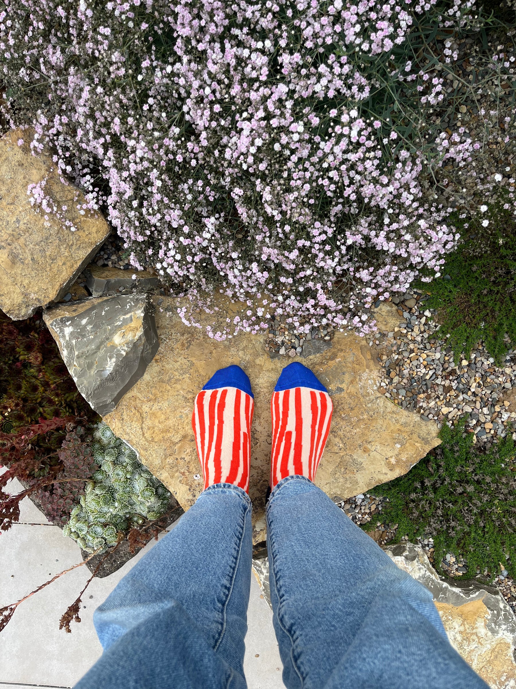 Socken "Wolly Wood" rot weiß