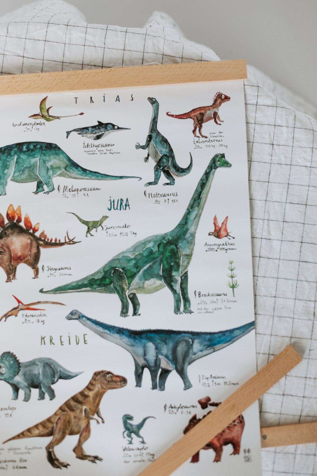 Posterleiste Buche | DIN A5 DIN A2 halfbird