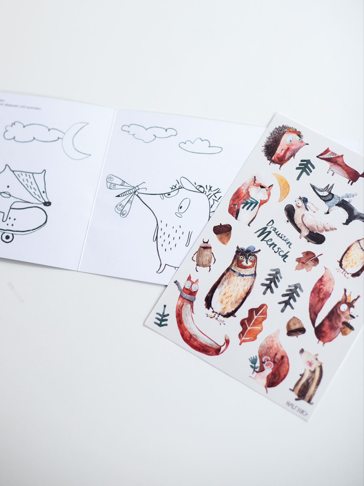 Spülmaschinenfeste Sticker "Waldgeflüster" von Halfbird mit Ausmalposter im Innenteil