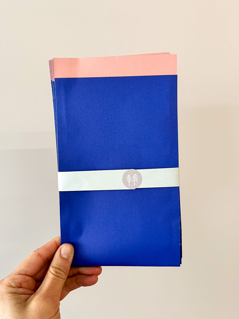Hand mit Geschenktüte in blau-rosa von Halfbird