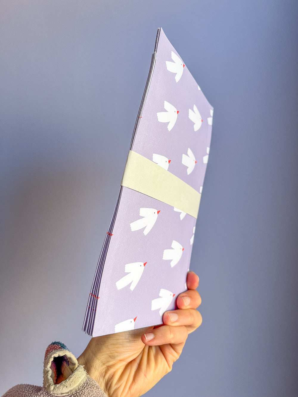Hand mit Geschenktüte mit Vogelmuster von Halfbird