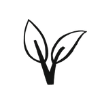 Icon vegan