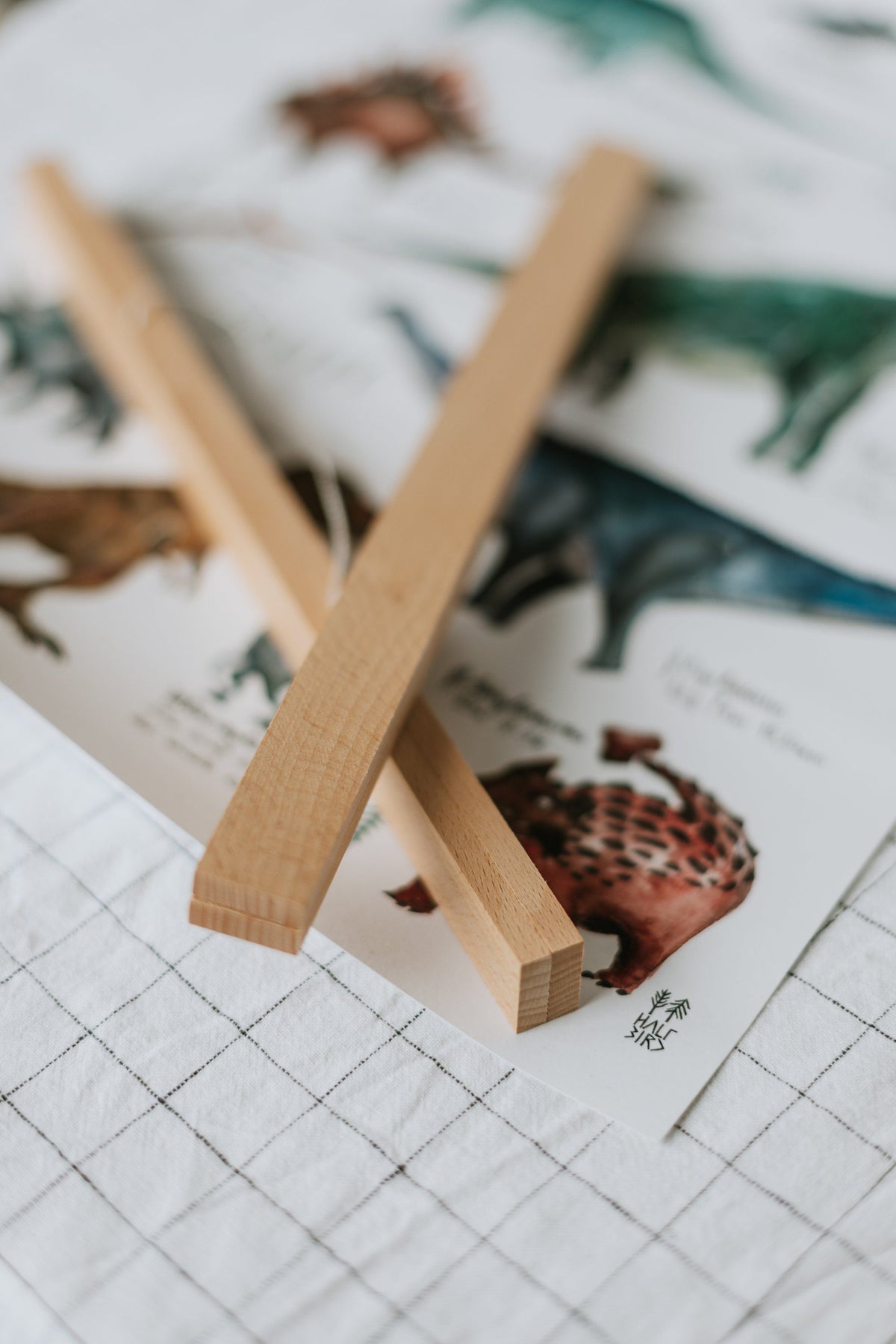 Posterleiste Buche | DIN A5 DIN A2 halfbird