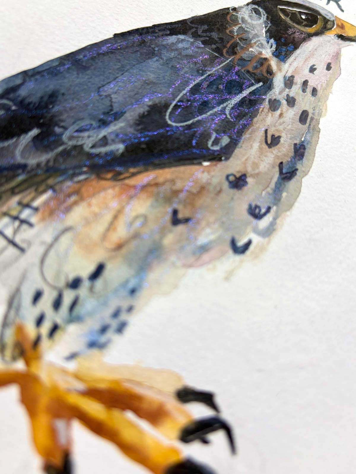 Detail Bussard Aquarell Effektfarbe von Van Gogh