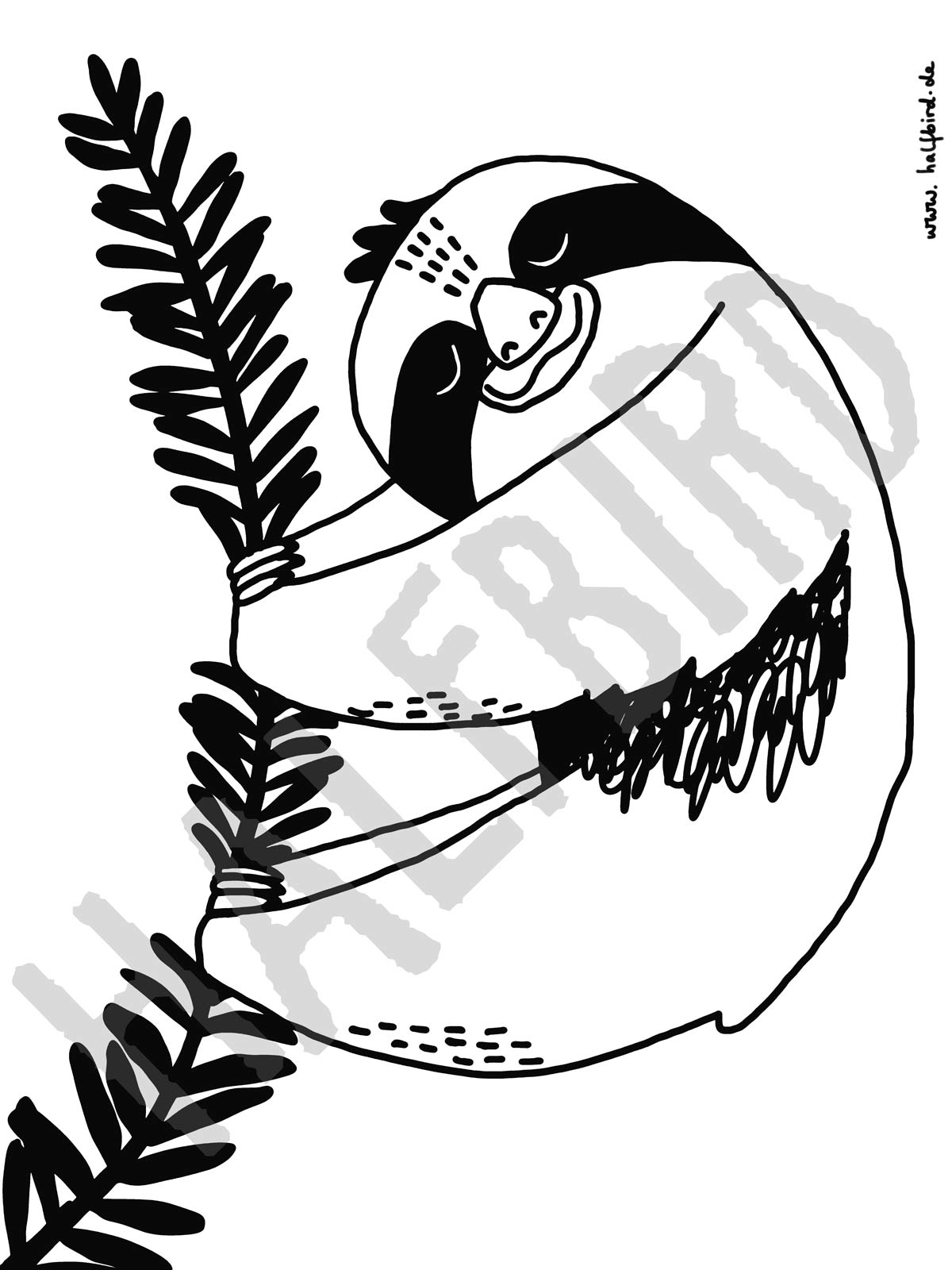 Fensterbild Faultier von Halfbird