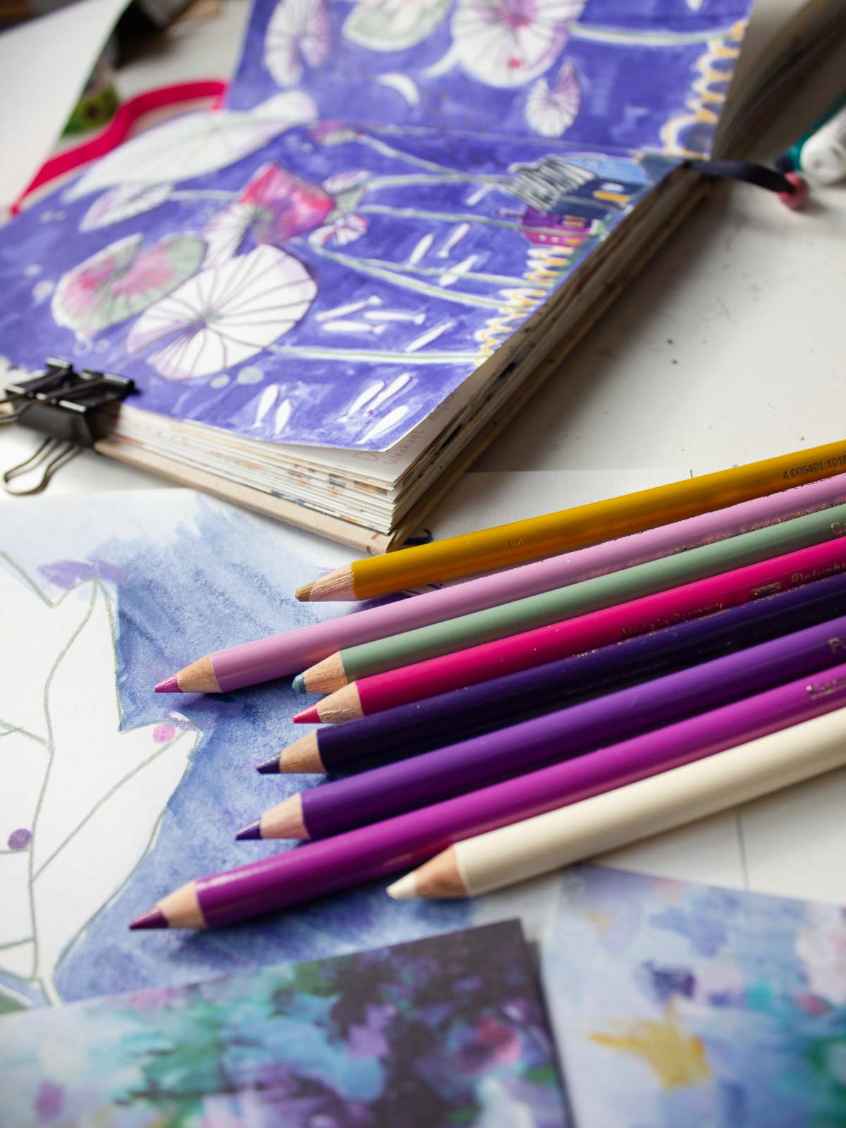 Stifteset "Seerose" mit Polychromos und Brushpen von Halfbird neben Illustration im Skizzenbuch