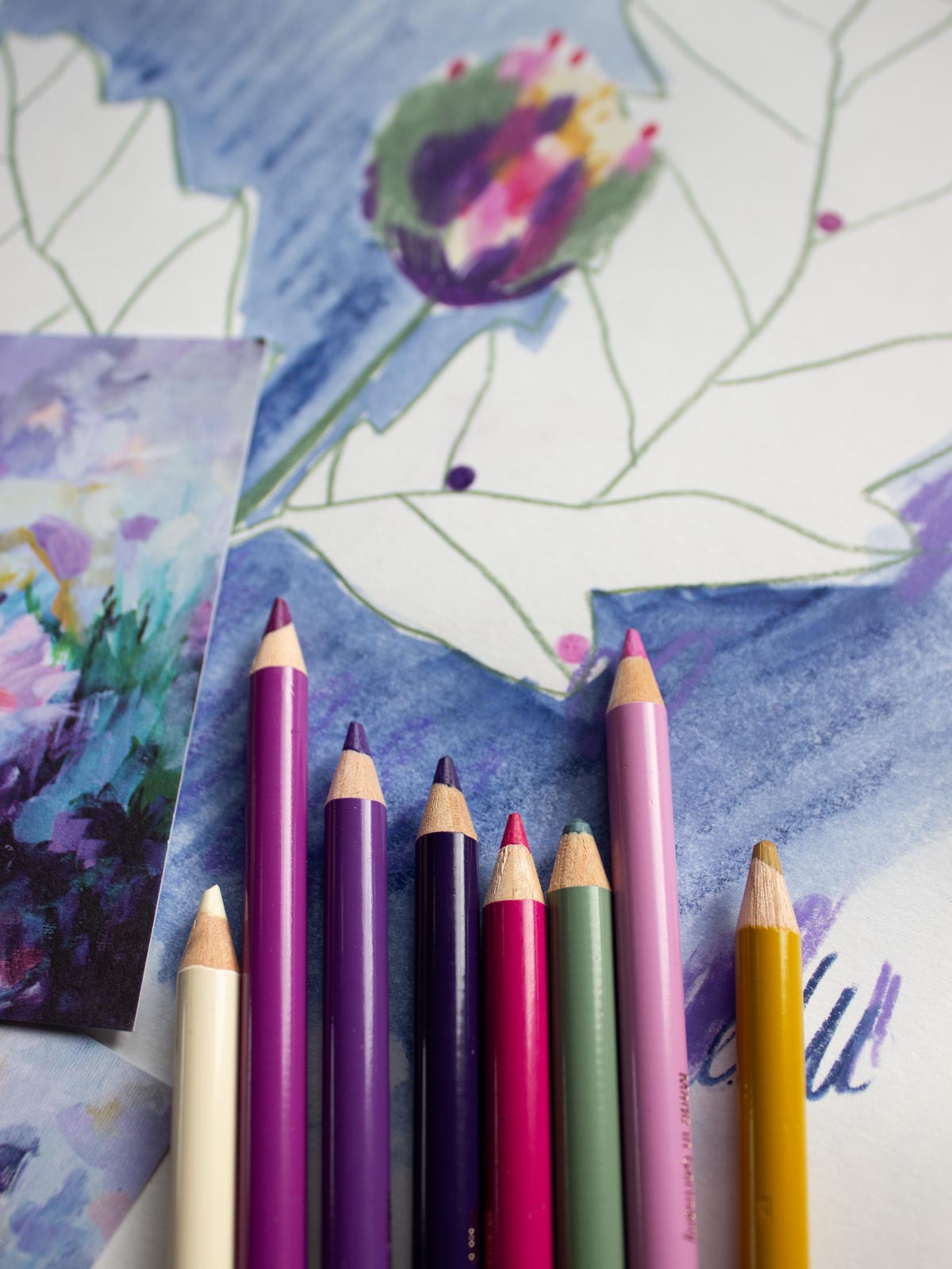 Polychromos aus dem Stifteset "Seerose" von Halfbird neben Illustration 