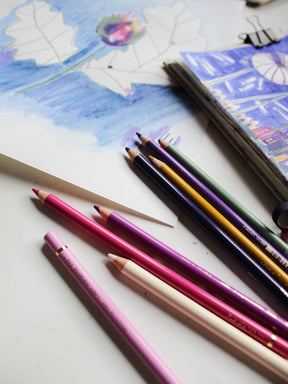 Polychromos aus dem Stifteset "Seerose" von Halfbird neben Illustration 